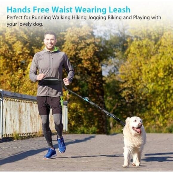 Hands Free Dog Running Leash with Zipper Pouch, Dual Handle, Elastic Bungees - Picture 5 of 7